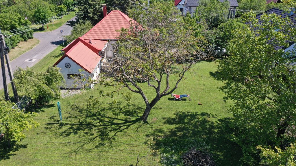 Blick von oben Garten