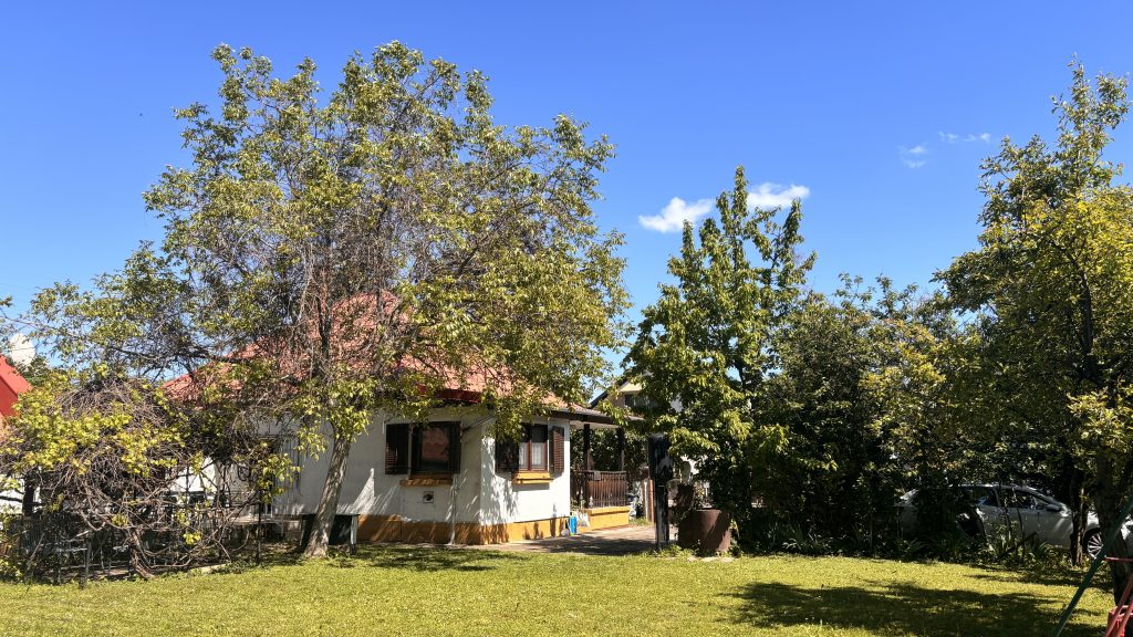 Vom Garten Blick aufs Haus